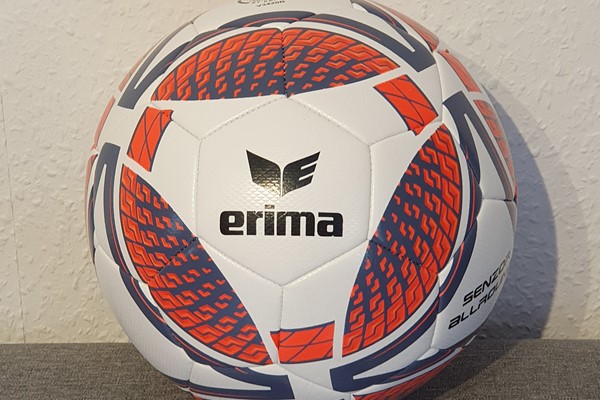 Erima_Trainingsball (2).jpg